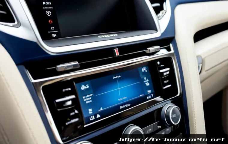 BMW X6의 고급 인테리어 옵션 관련 이미지 1